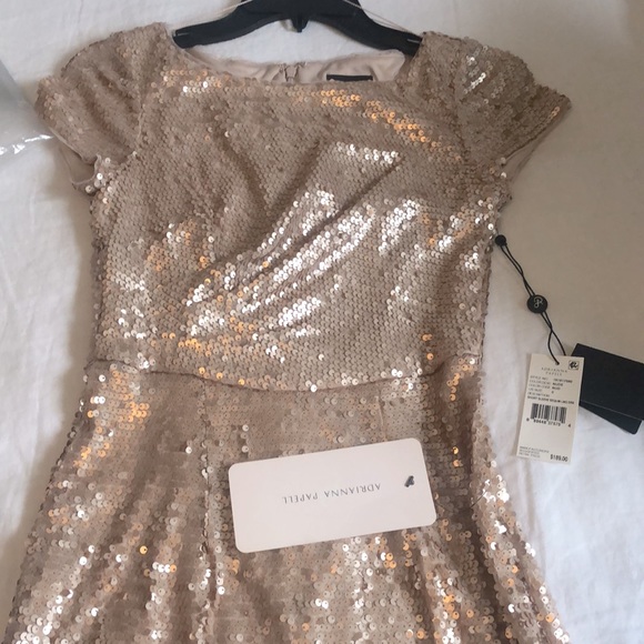 Adrianna Papell Blush Gown Size 0 - Picture 3 of 5